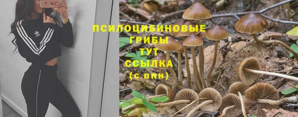 mdma Мегион