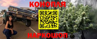 2c-b Кингисепп