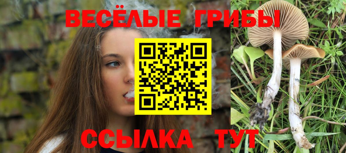 Псилоцибиновые грибы Psilocybine cubensis  Галлюциногенные грибы Psilocybine cubensis  Нижний Новгород  купить наркотики цена  Вход с VPN 