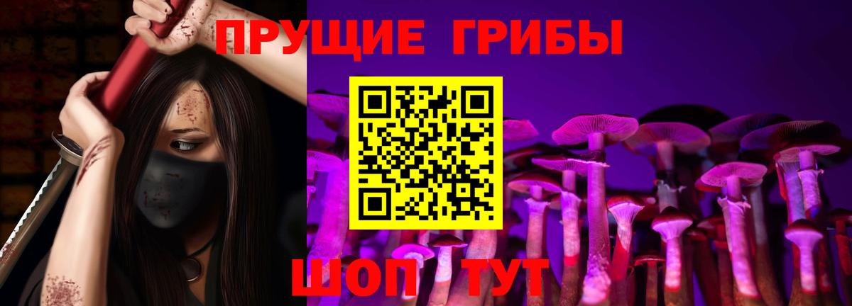 Галлюциногенные грибы прущие грибы  где продают наркотики  Нижний Новгород 